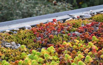 the cost of South Runcton green roof installation