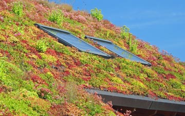 South Runcton living roof systems
